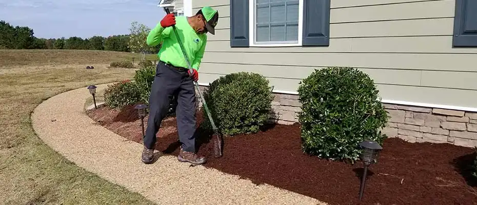 Mulch ground cover in landscape bed
