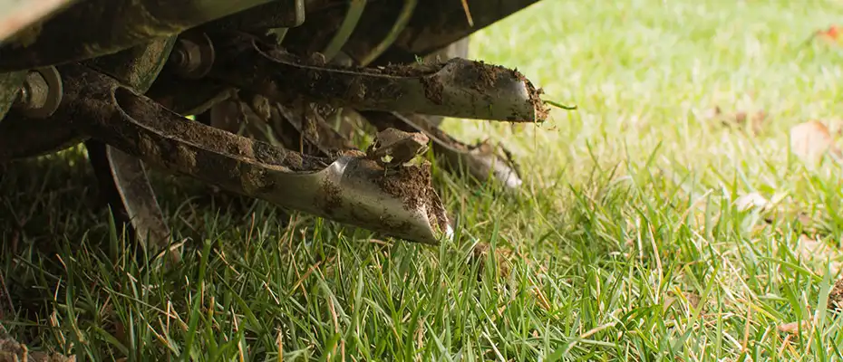 Core aeration being performed on a lawn