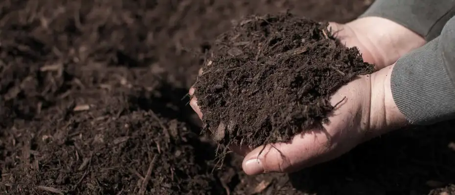 Hand applying organic mulch