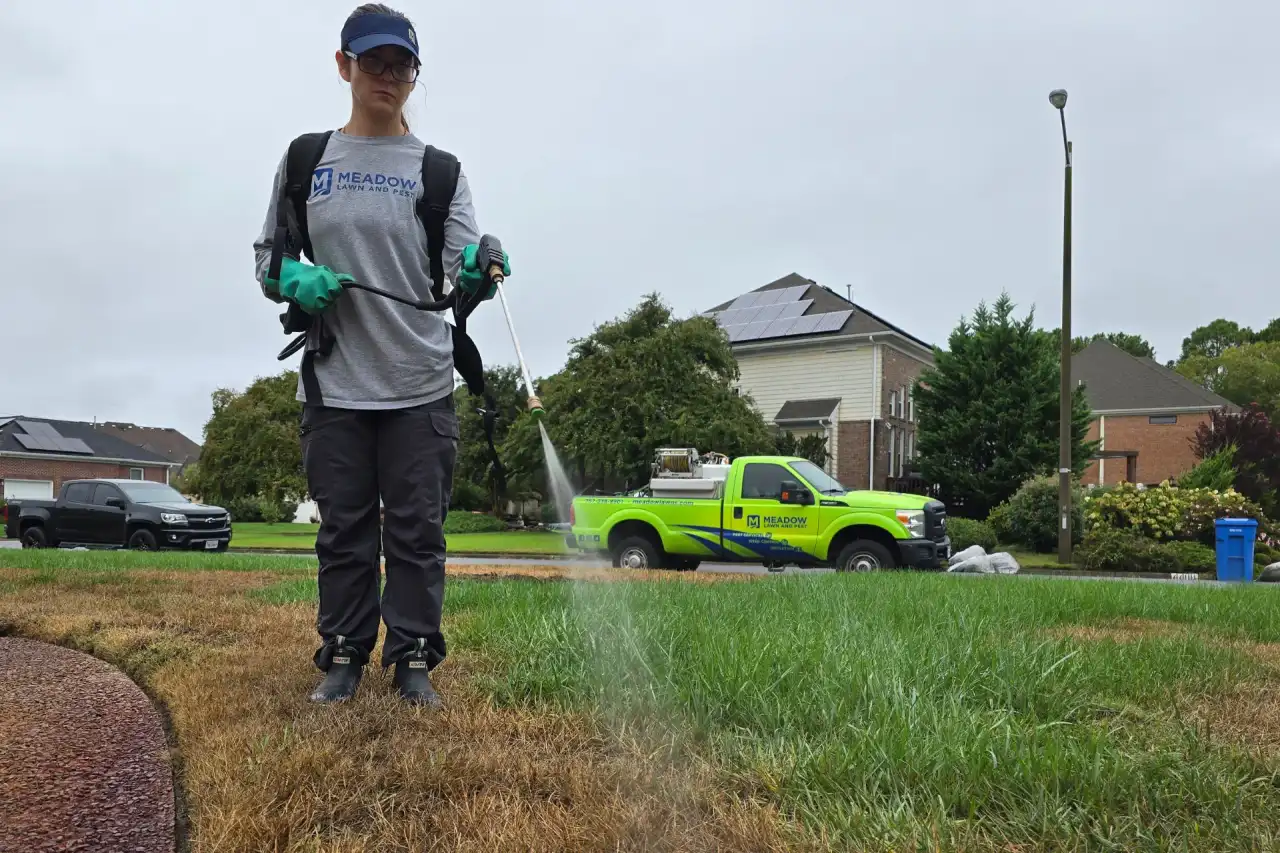 Meadow Lawn & Pest technician applying a barrier pest spray on a Hampton Roads, Virginia property