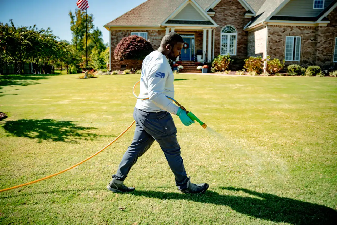 Lawn care professional inspecting a fescue lawn in Hampton Roads