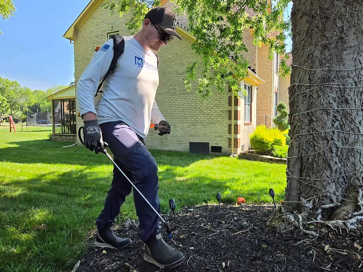 Mature trees and ornamental shrub beds on a Hampton Roads, Virginia property being maintained for pest activity