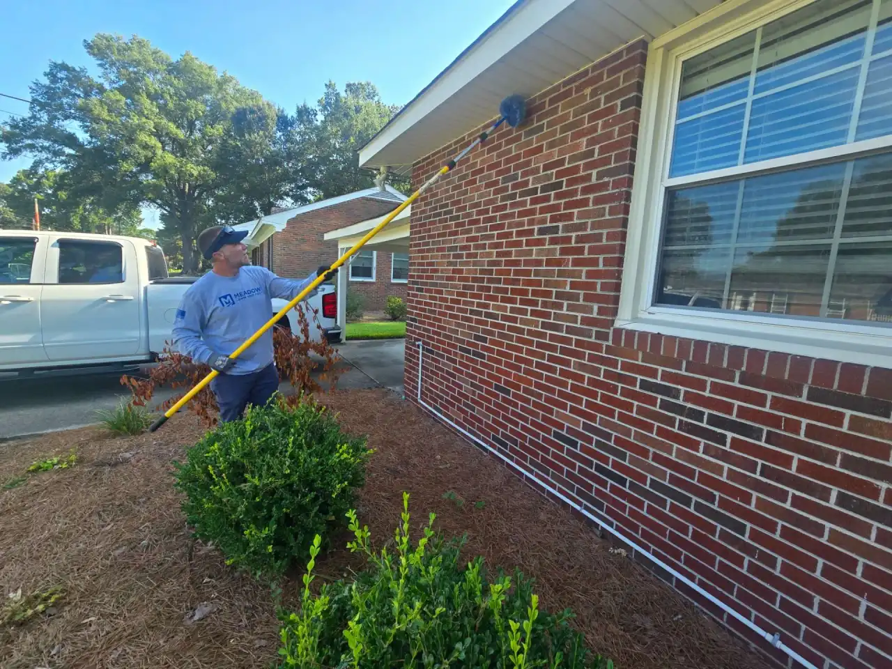 Stinging insect nest activity around a Hampton Roads, Virginia home