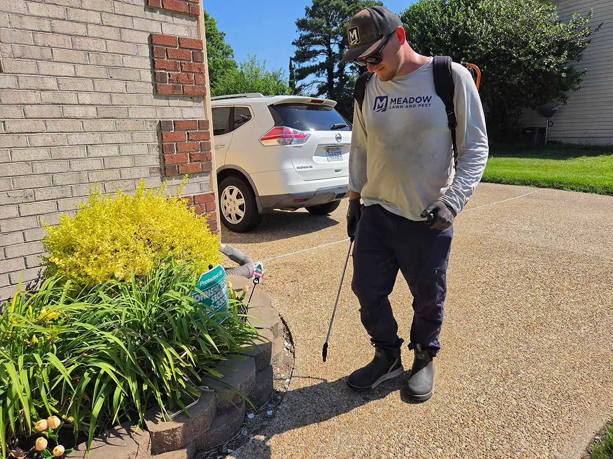 Professionally maintained landscape beds at a Hampton Roads property by Meadow Lawn & Pest