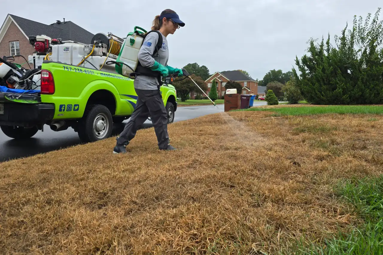 Lawn Pest Control Service