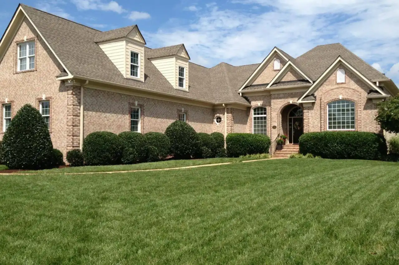 Spring Cleanup Services