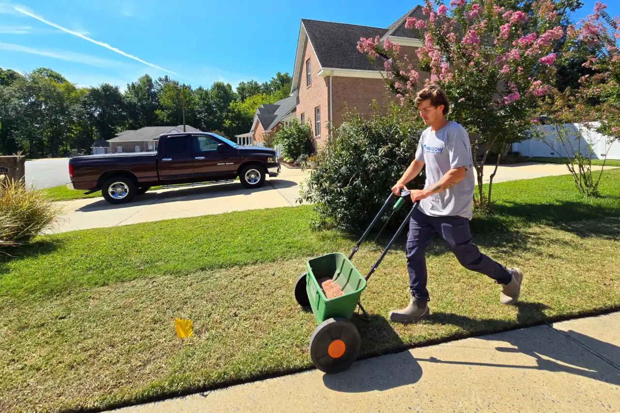 Lawn Seeding Service | Meadow Lawn & Pest