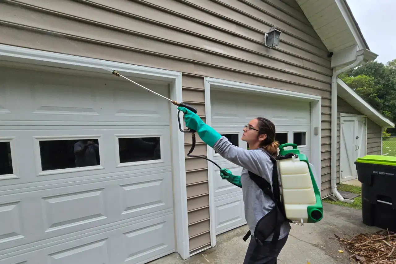 Exterior Pest Control Service