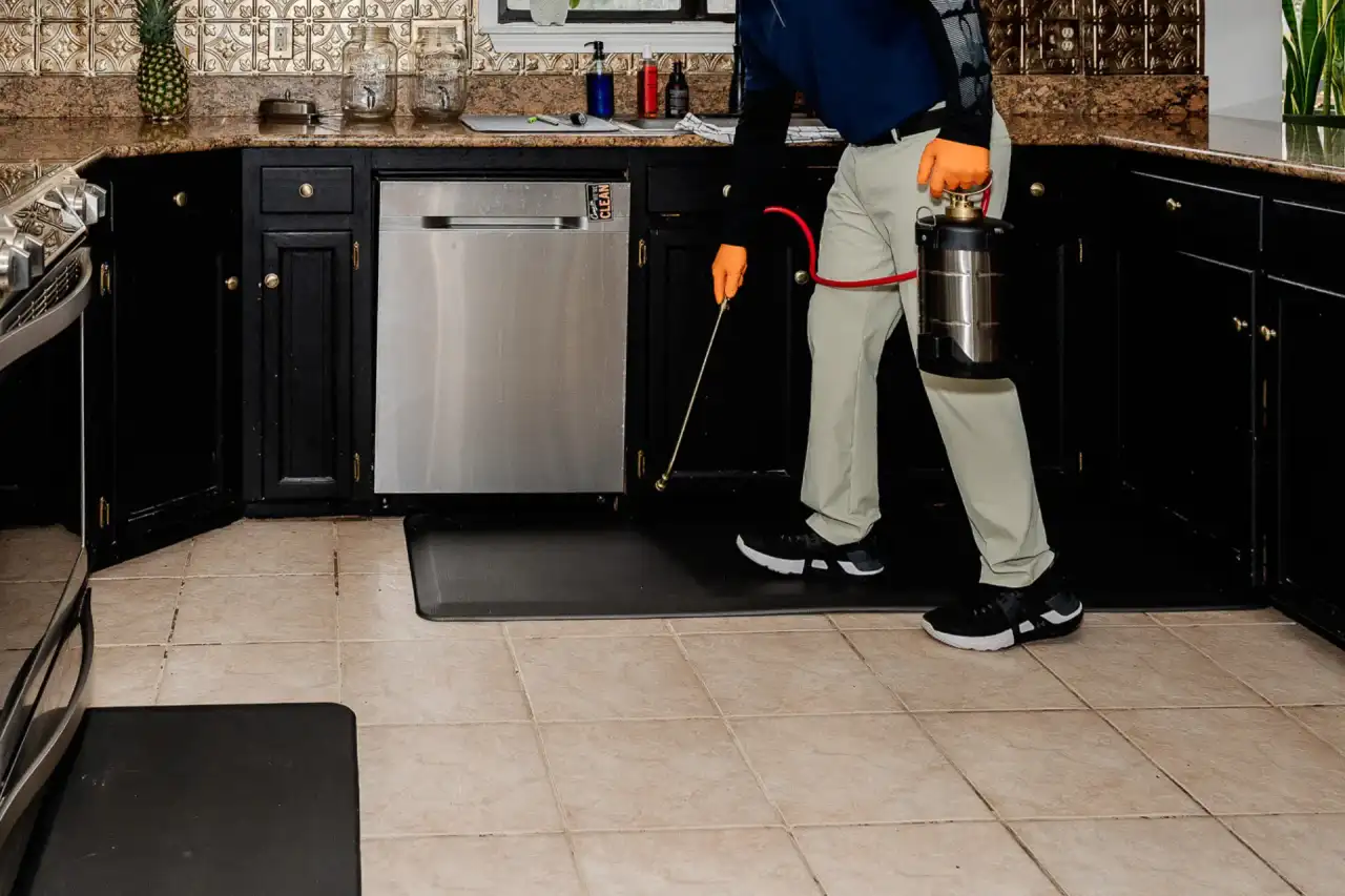 Interior Pest Control Service