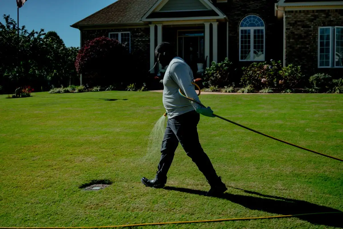 A Meadow Lawn and Pest technician applying a fall lawn feeding on a Hampton Roads lawn