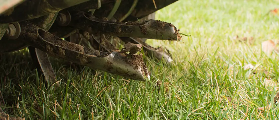 Core Aeration Services