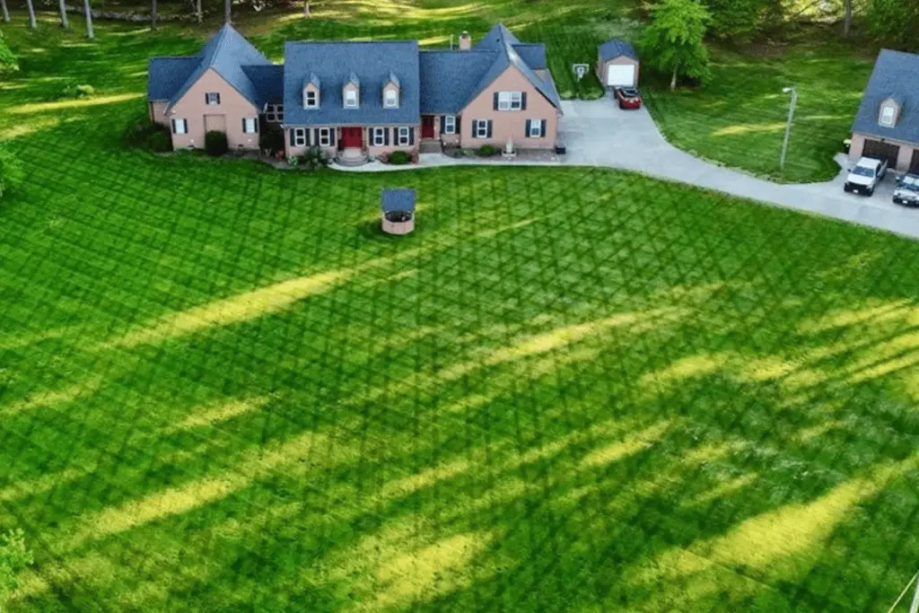 Professional Lawn Mowing Services