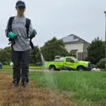 Brown Patch and Lawn Fungus in Hampton Roads: Why Your Fescue Looks Sick in Summer (And What to Do About It)