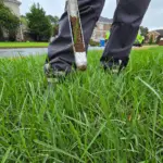 How Much Does Lawn Care Cost in Hampton Roads? An Honest Breakdown of What You’ll Pay (and Why)
