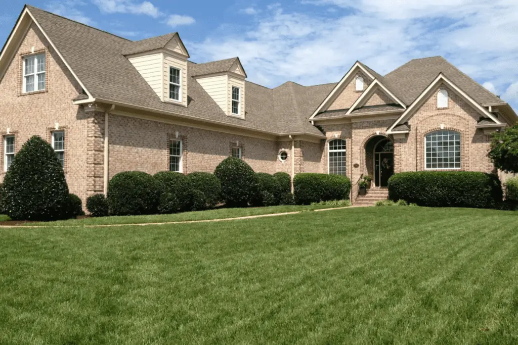 Spring Cleanup Services