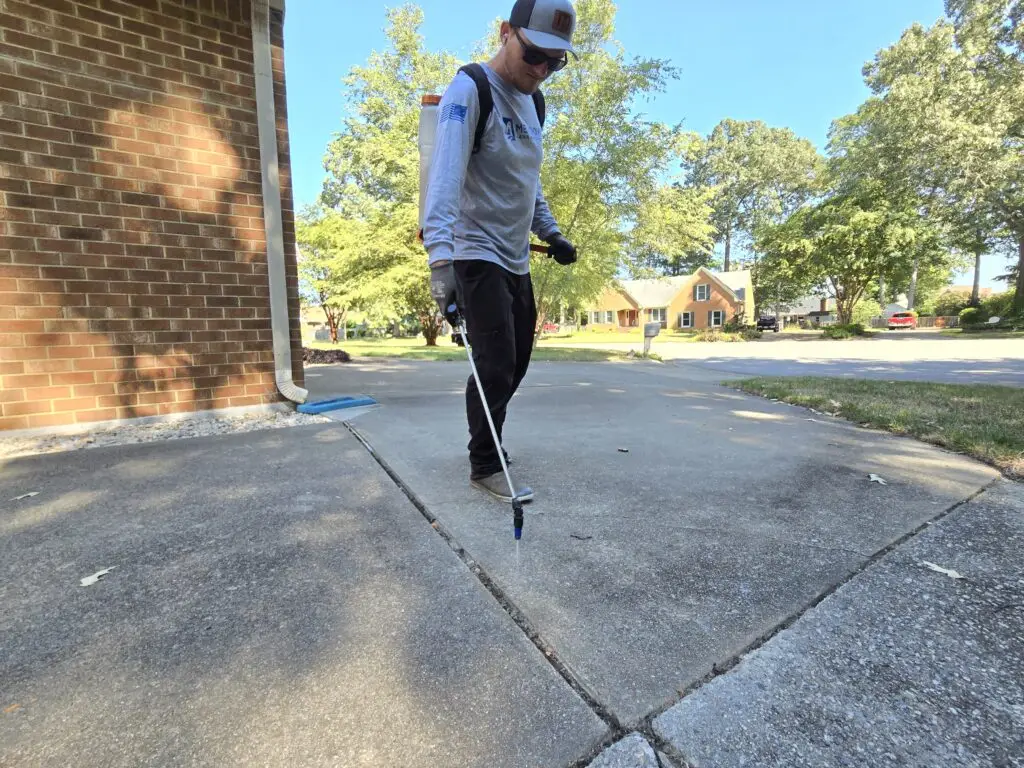 Weed Killer on Concrete