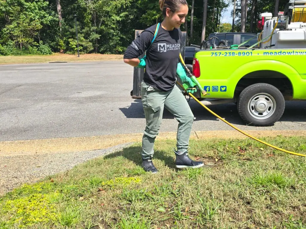 Lawn Spraying Near Truck