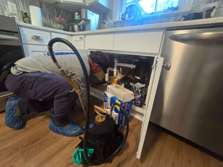 Pest Control Under Sink