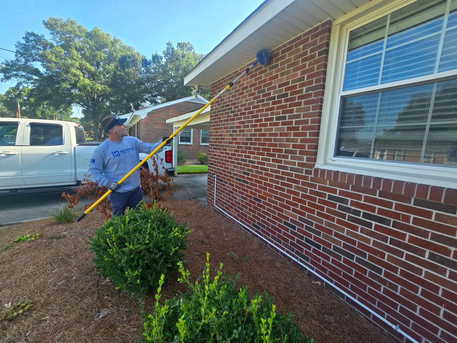 Stinging insect nest activity around a Hampton Roads, Virginia home