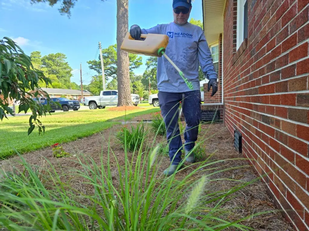 Pest Control Near Plants Near Side Home