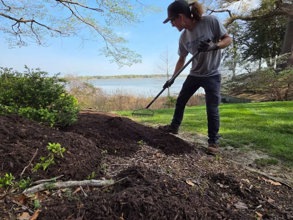 Raking Mulch with Pond Behind