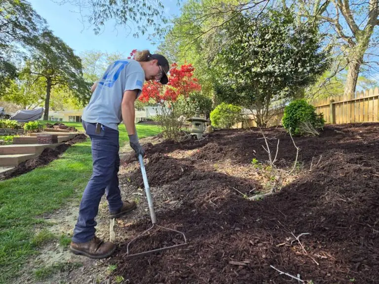 Large Mulch Bed Raking