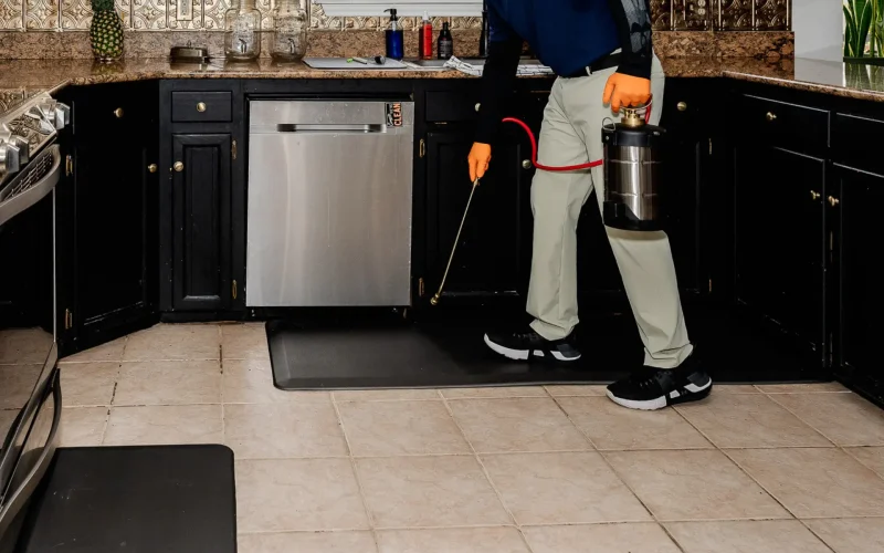Interior Pest Control Service