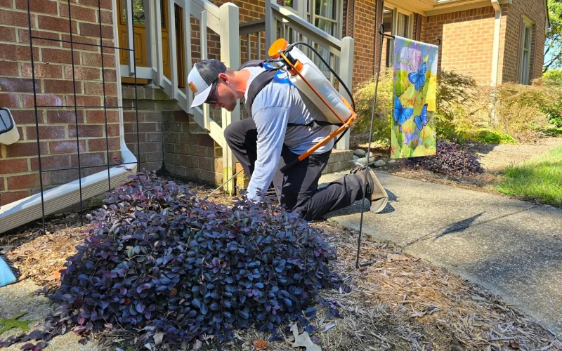 Landscape Bed Weed Control Program