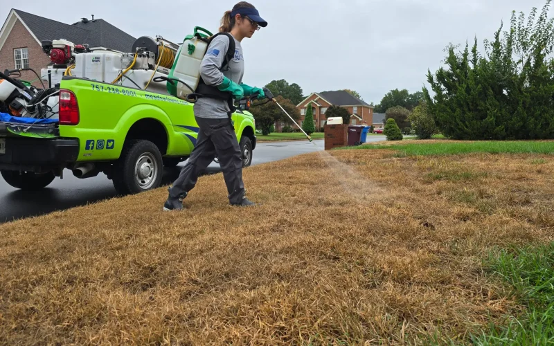 Lawn Pest Control Service