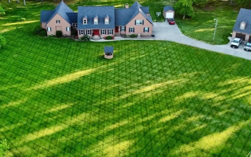 Professional Lawn Mowing Services