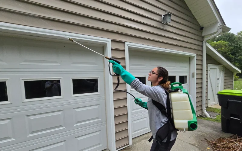Exterior Pest Control Service
