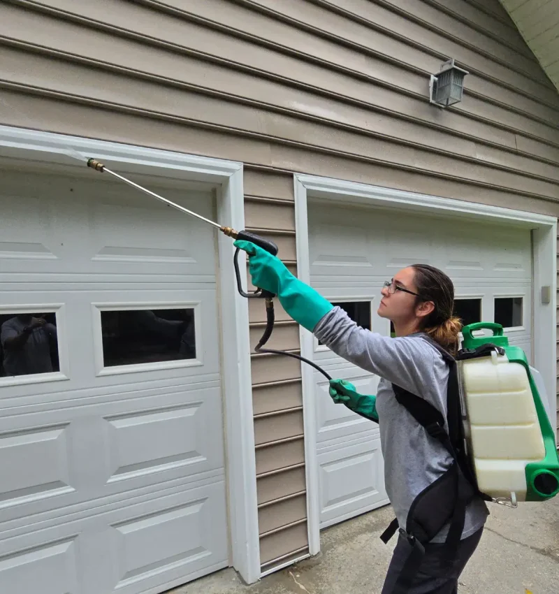 Exterior Pest Control Service