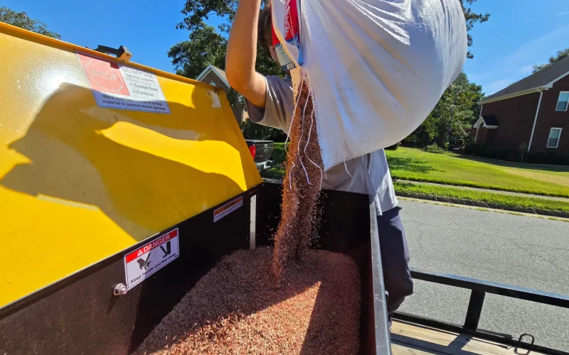 Lawn Seeding Services