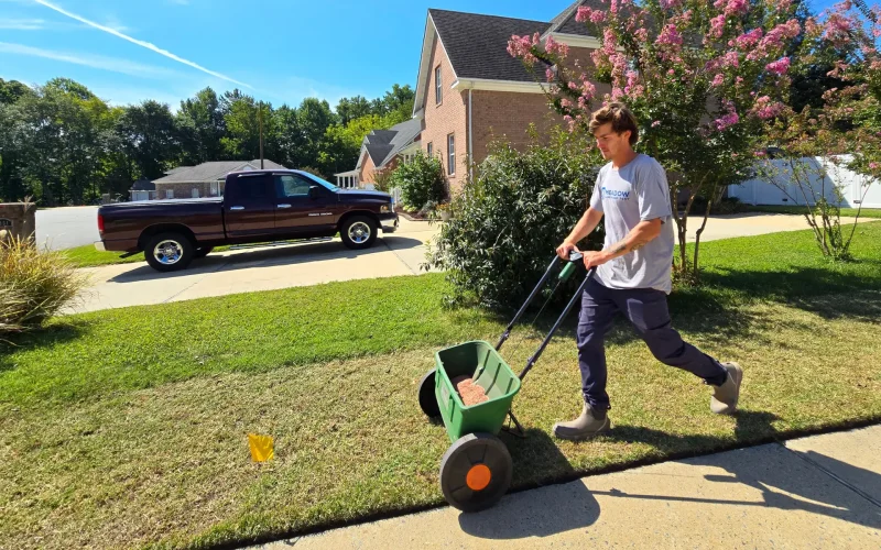 Lawn Seeding Service | Meadow Lawn & Pest