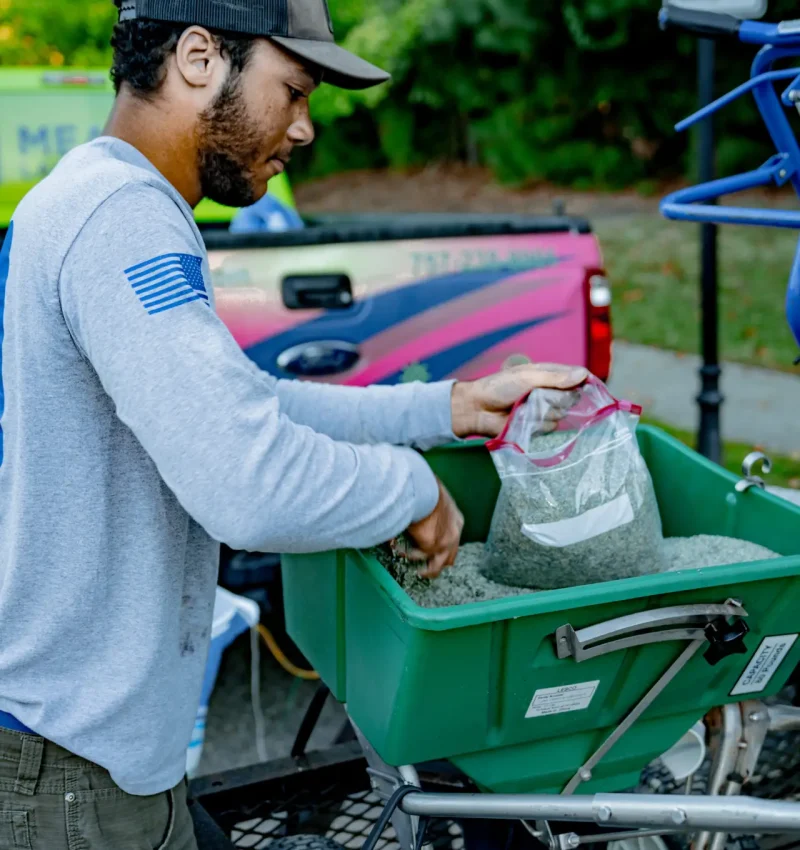 Meadow_lawn_care-004