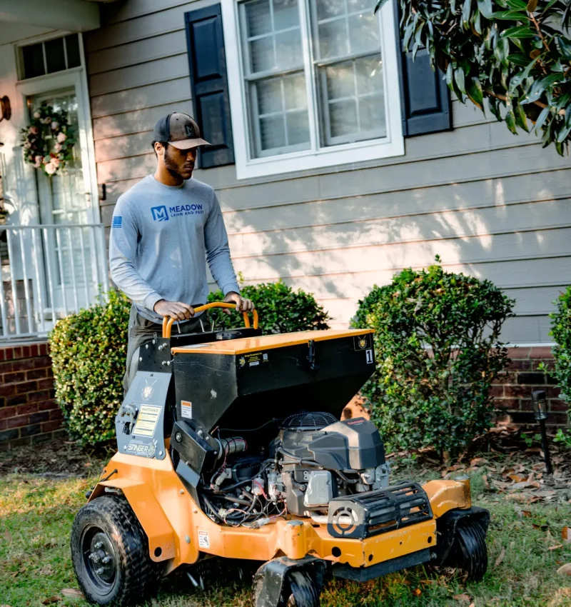 Meadow_lawn_care-011