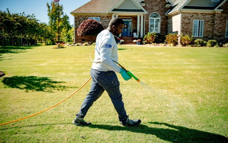 Meadow_lawn_care-068