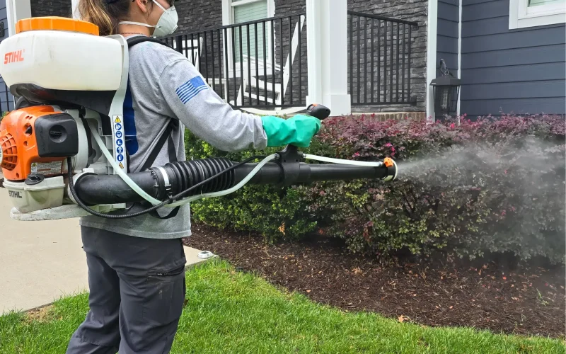 Mosquito Control Fogging Service