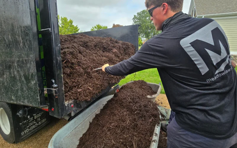 Mulch Installation Services