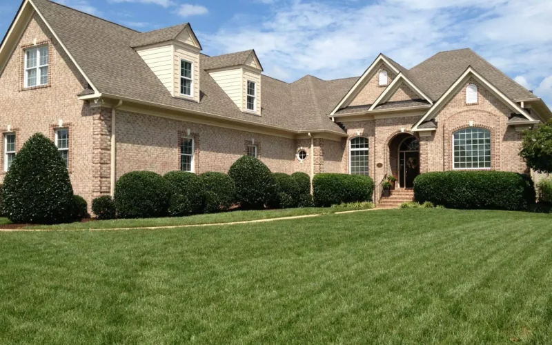 Spring Cleanup Services